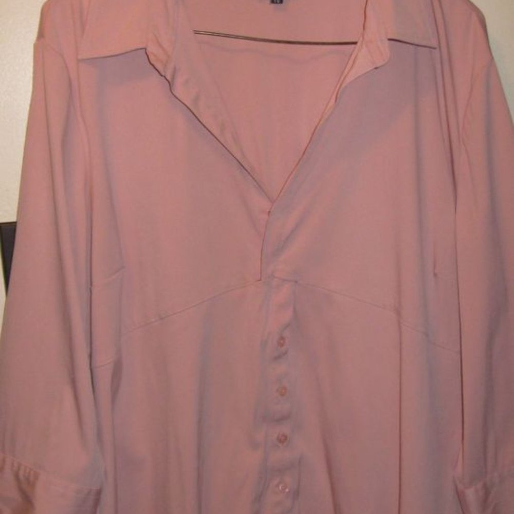 pink Reitmans blouse